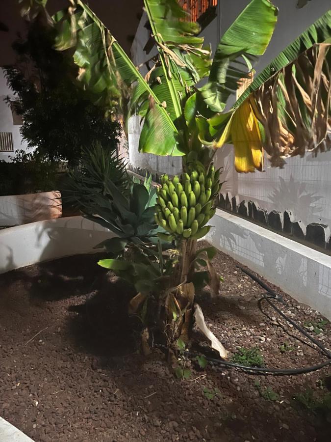 Estudio Costa Del Silencio Chayofita Arona  Bagian luar foto